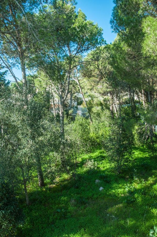 Caper Villa Santa Caterina  Esterno foto