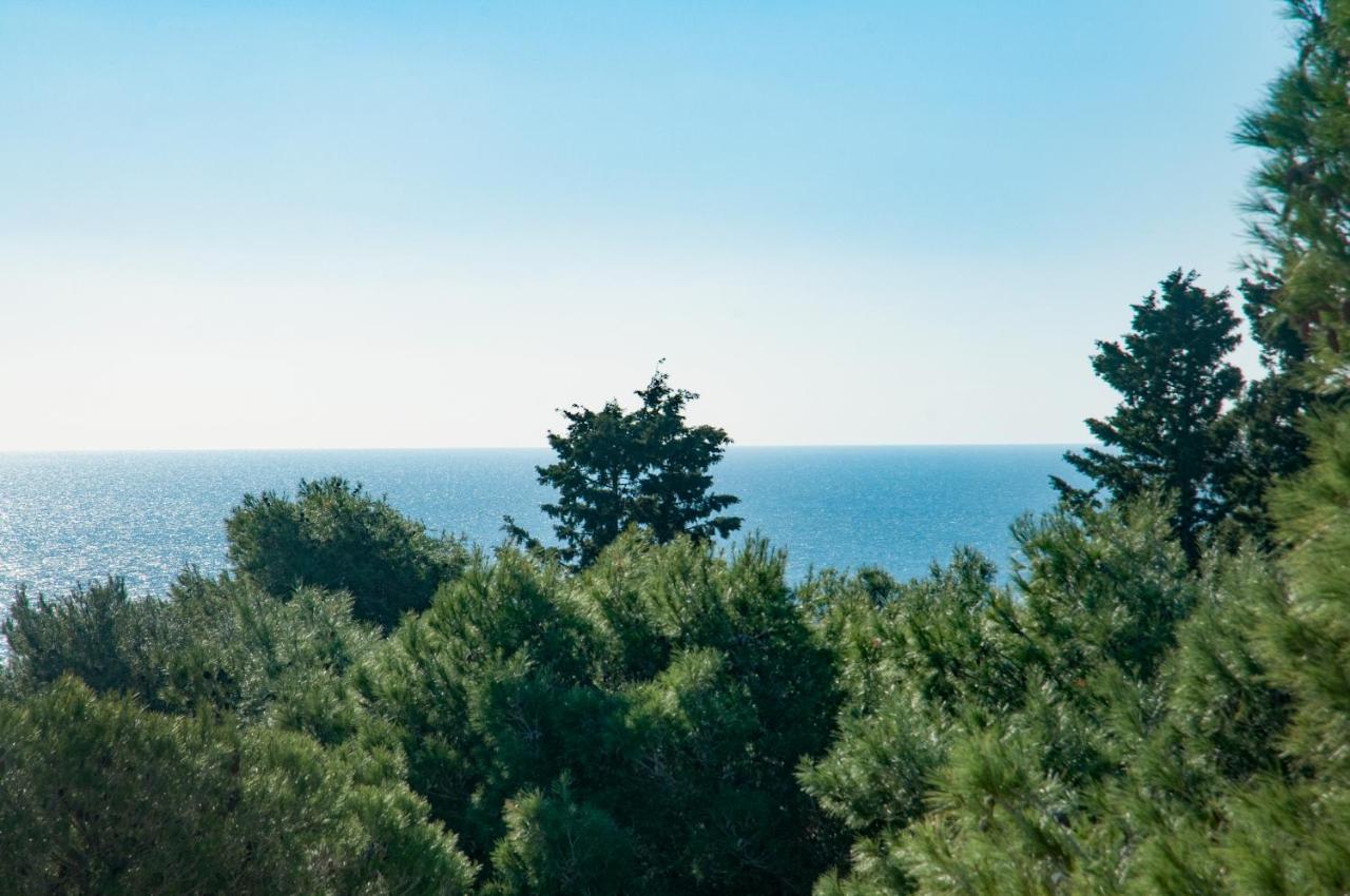 Caper Villa Santa Caterina  Esterno foto