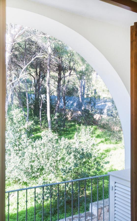 Caper Villa Santa Caterina  Esterno foto